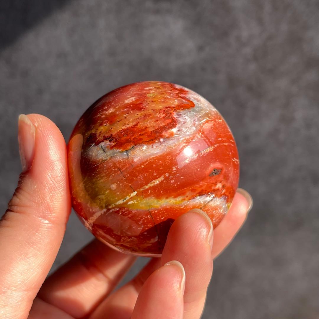 ペトリファイドウッド スフィア