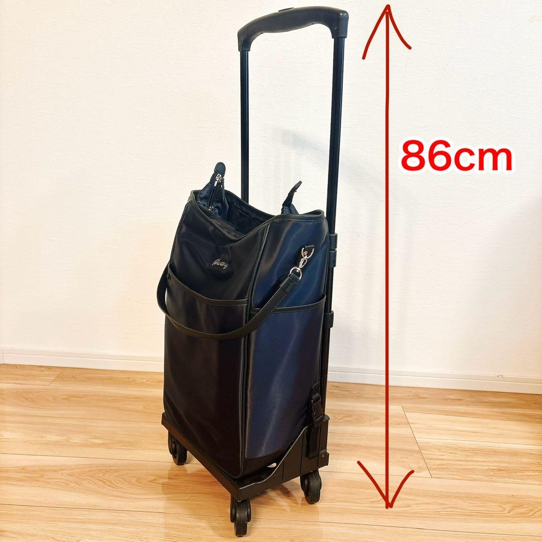 ✨極美品✨ スワニー D-202 ミルダ Mサイズ 19L 座れるキャリーバッグ