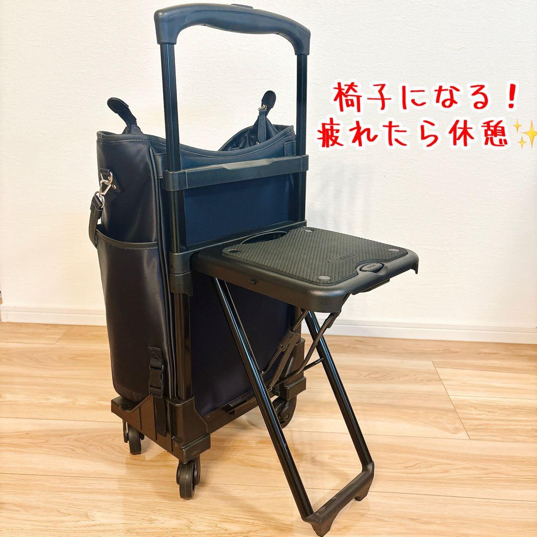 ✨極美品✨ スワニー D-202 ミルダ Mサイズ 19L 座れるキャリーバッグ