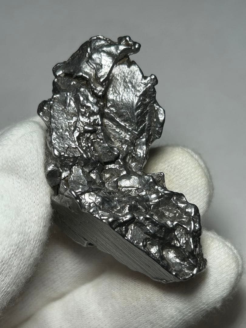 鉄隕石　カンポデルシエロ　エンドカット　オクタヘドライト　69.7g　証明書付き