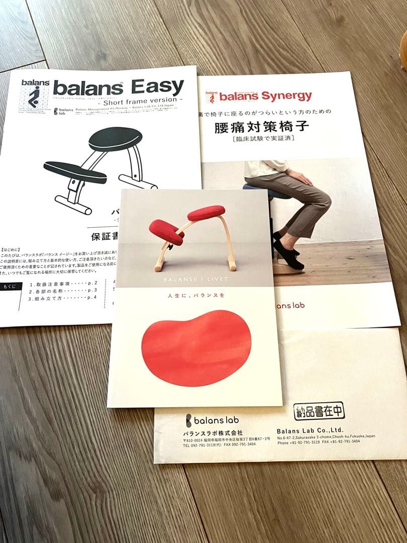 未使用　バランスイージー Balans Easy 正規品　ショートフレーム