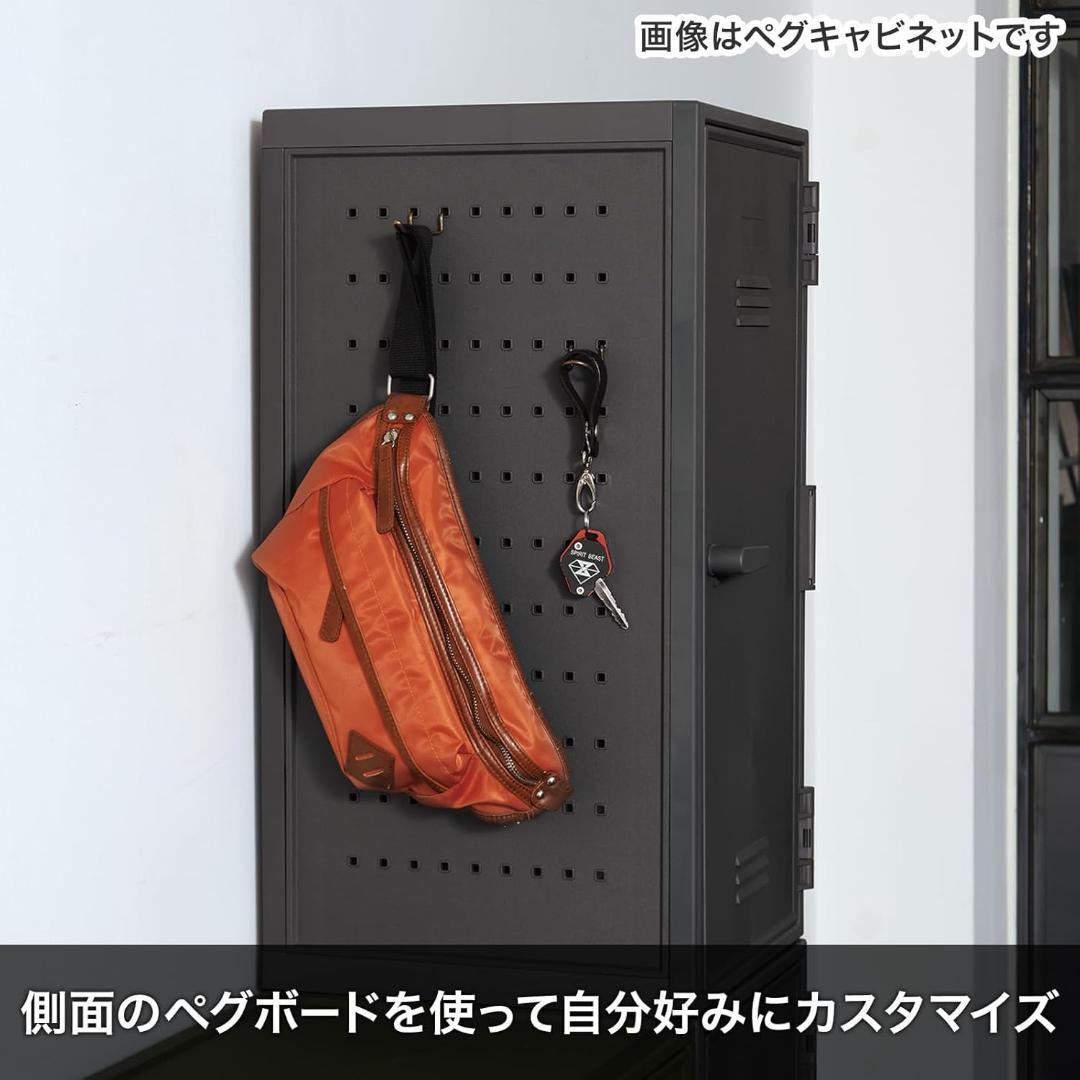 天馬(Tenma) ロッカー型収納ボックス フィッツ ペグキャビネット メッシュ
