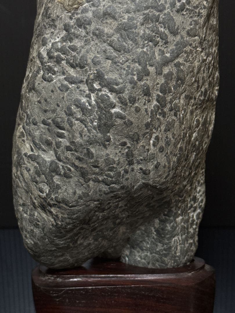 極上 瀬田石 水石 蟹肌 観音像型 瀬田川石 置物 唐木台付 盆景 盆栽