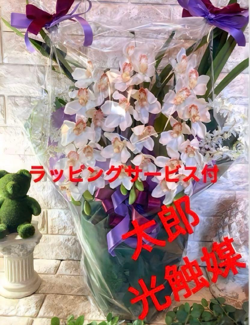 光触媒　人工観葉植物　ウォールグリーン　フェイクグリーン　シンピジューム615