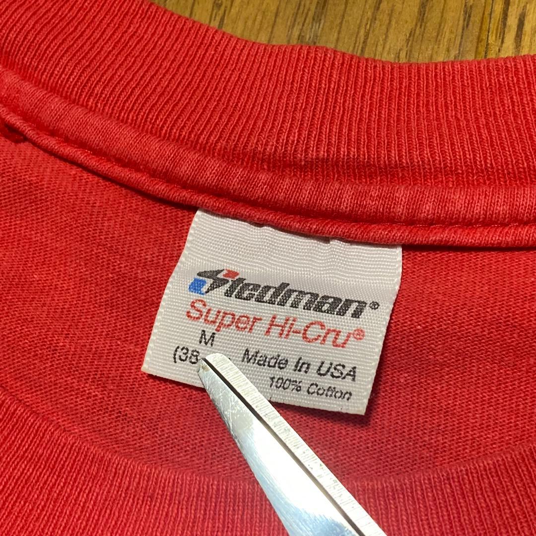 SANTA CRUZ 80s 90s オリジナル スカルプリント Tシャツ