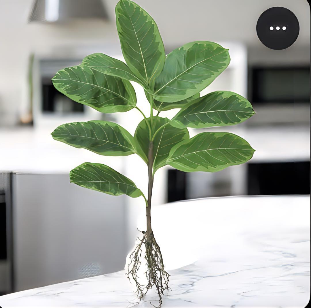 光触媒　人工観葉植物　ウォールグリーン　フェイクグリーン　アルテシマルーツ