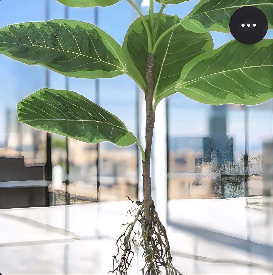 光触媒　人工観葉植物　ウォールグリーン　フェイクグリーン　アルテシマルーツ