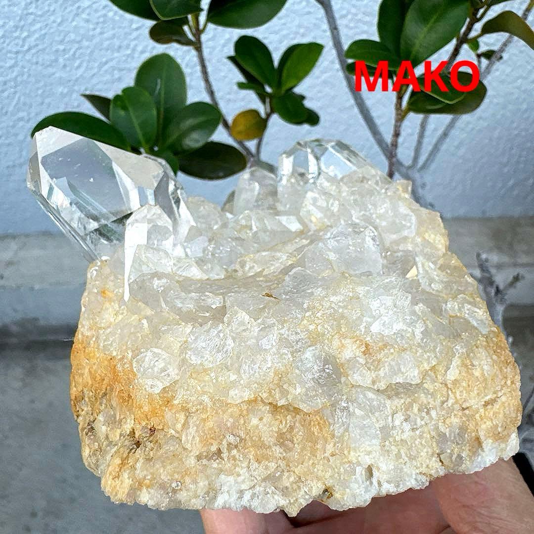 M1724☆水晶クラスター1.0Kg☆乙女鉱山産☆天然石　原石 N50413-C