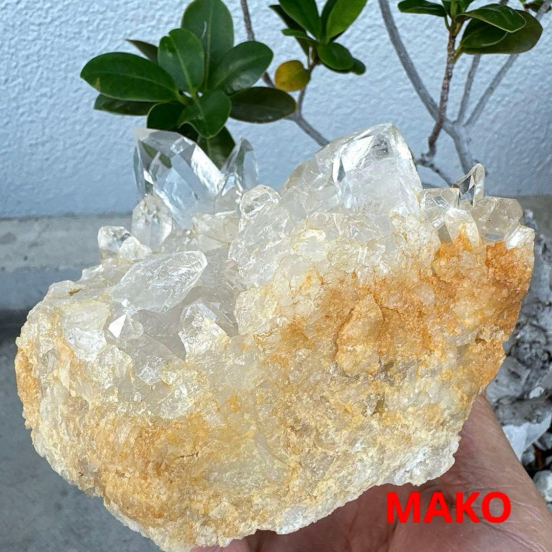 M1724☆水晶クラスター1.0Kg☆乙女鉱山産☆天然石　原石 N50413-C