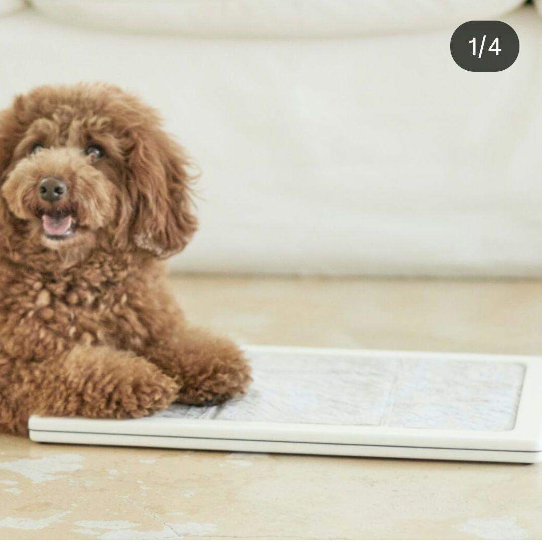 購入47000円　we original 人工大理石 犬 トイレ