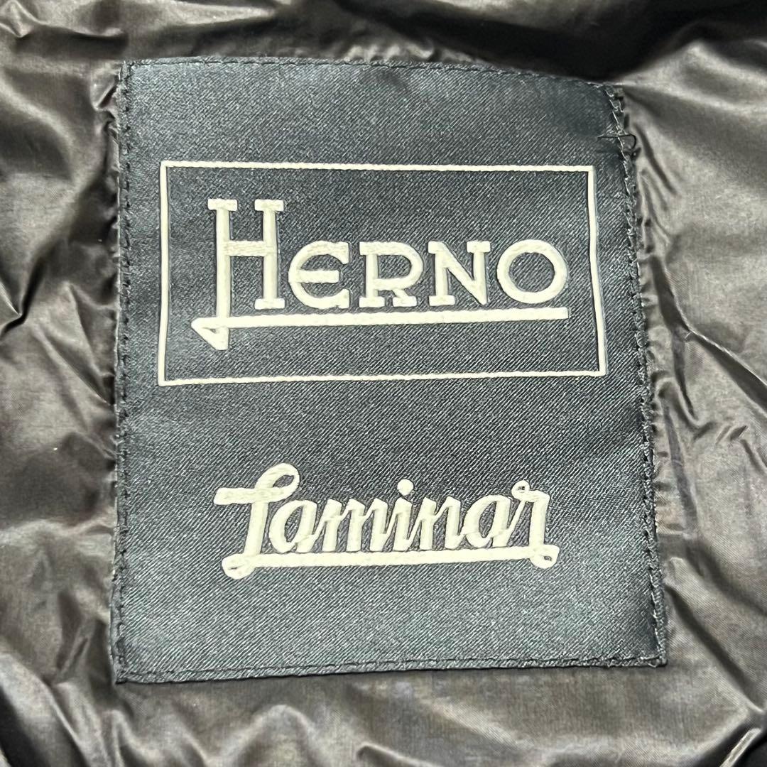 【極美品】 ヘルノ ラミナー ウィンドストッパー ダウンジャケット 42 黒