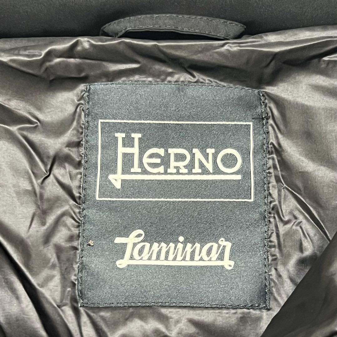【極美品】 ヘルノ ラミナー ウィンドストッパー ダウンジャケット 42 黒