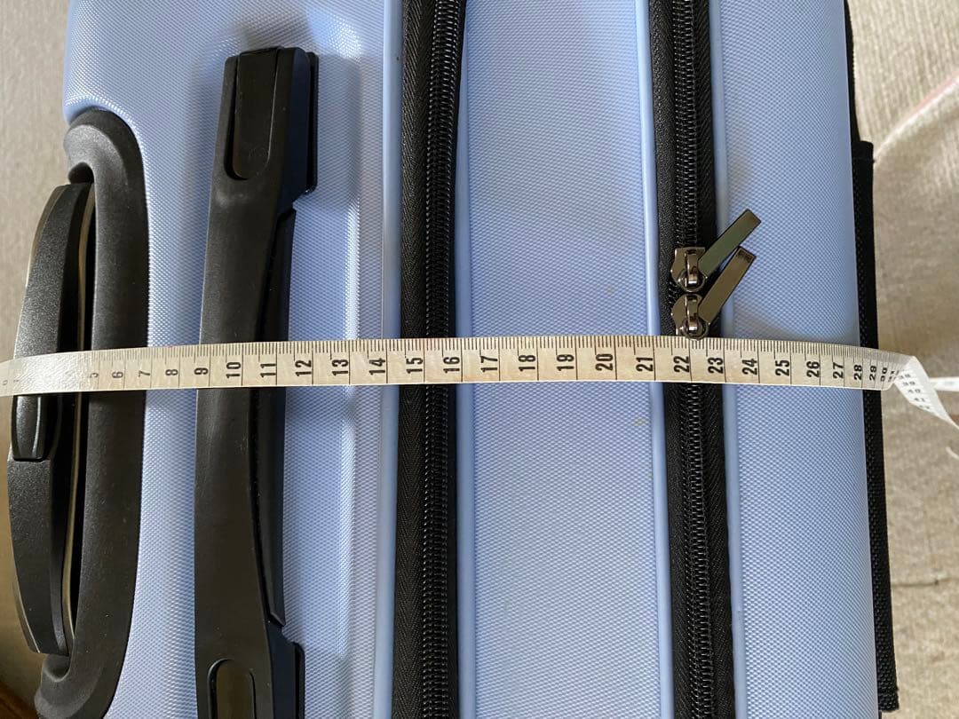 OSOTO 子犬、猫用のライトブルー キャリーケース