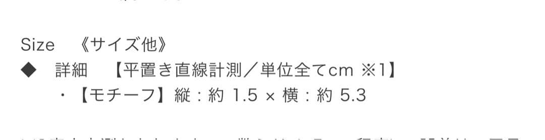 BALENCIAGA バレンシアガ　ヘアゴム　ヘアタイ