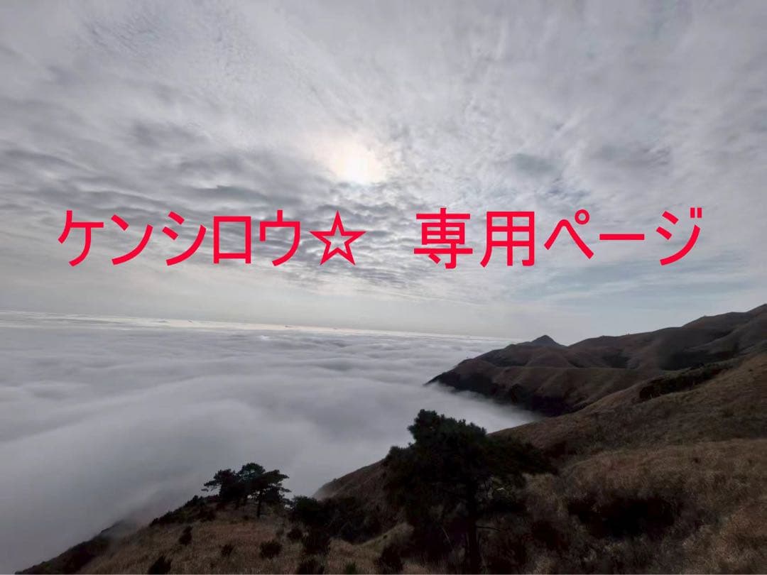 ケンシロウ☆ 専用ページSAINT MICHAEL 2PAC Tシャツ