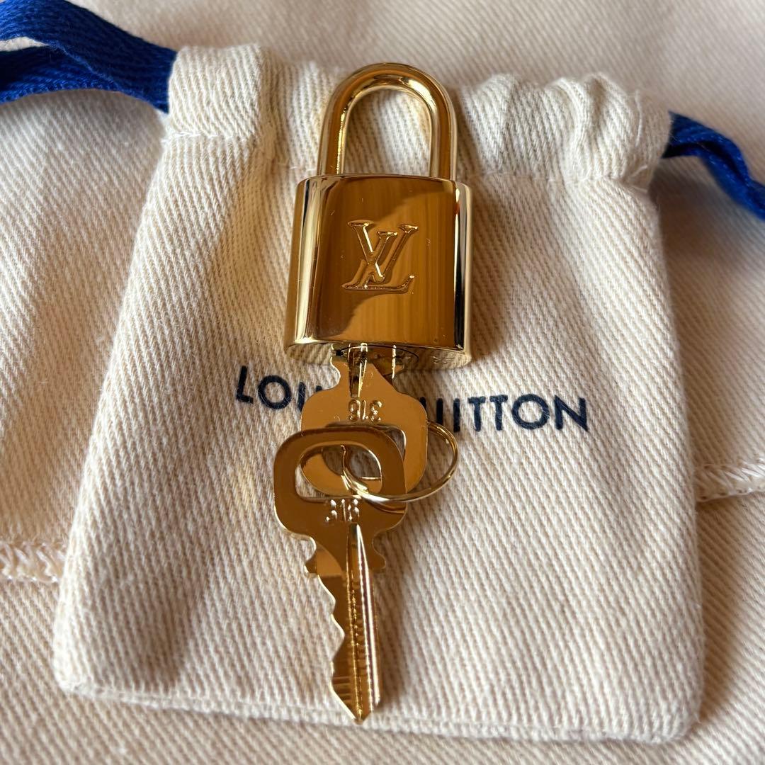 LOUIS VUITTON マルチカラーボストンバッグ