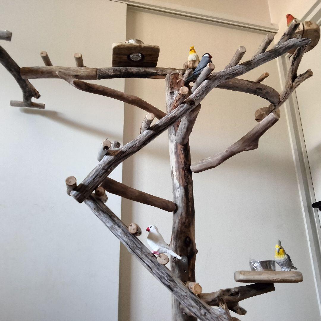 はな バードアスレチックジム ㊽ 天然木 自然木 止まり木 インコ オウム