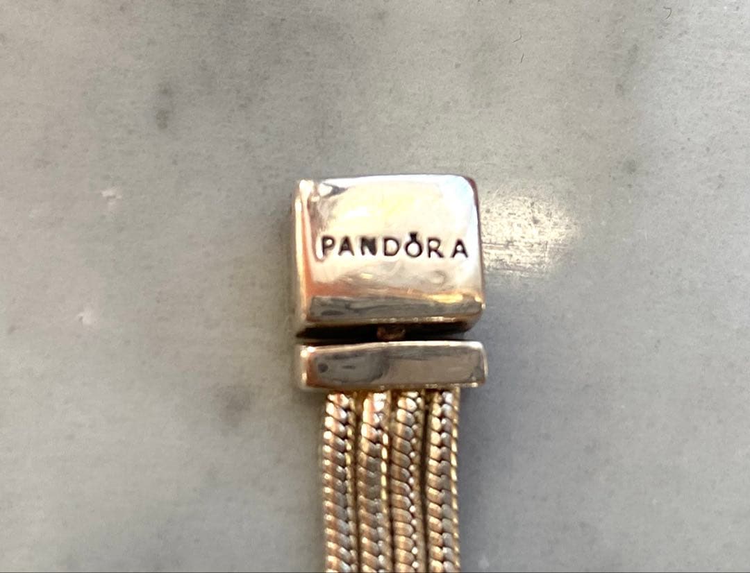 Pandora reflextions ブレスレットとチャーム3点