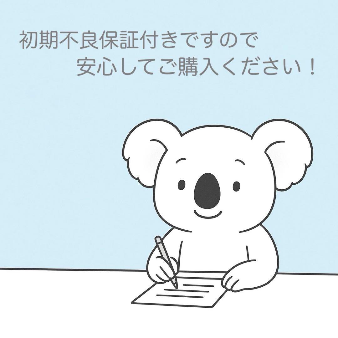 SONY DCR-TRV27 ビデオカメラ 美品 a4828