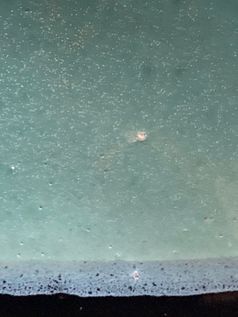 民藝 牛ノ戸焼 染分一尺大皿