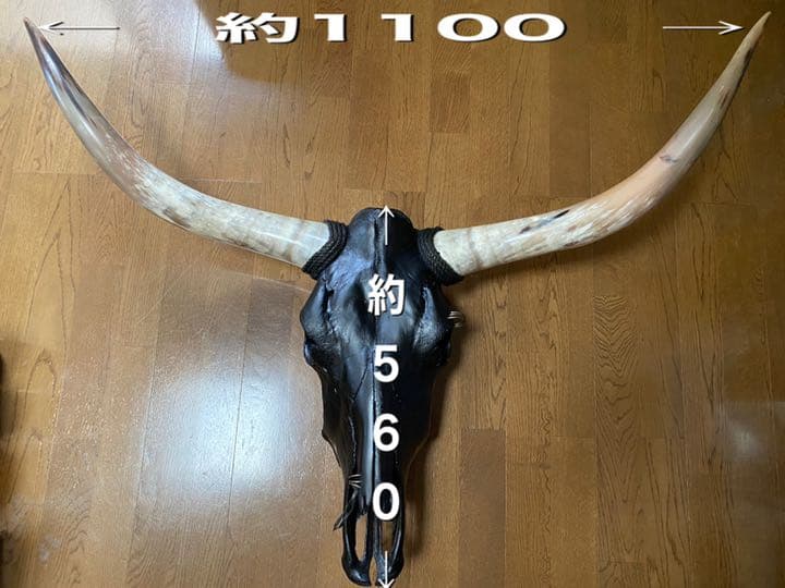 テキサスロングホーン