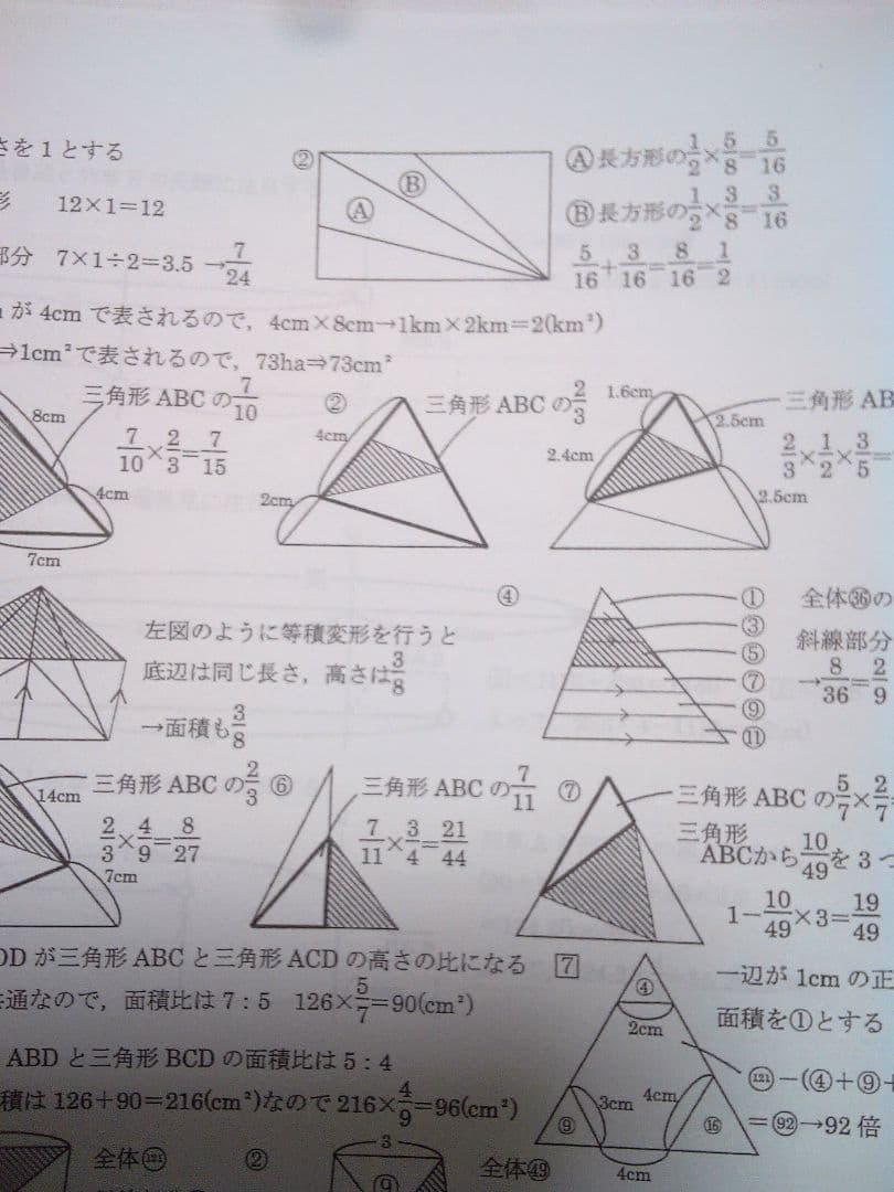語学・辞書・学習参考書 brown