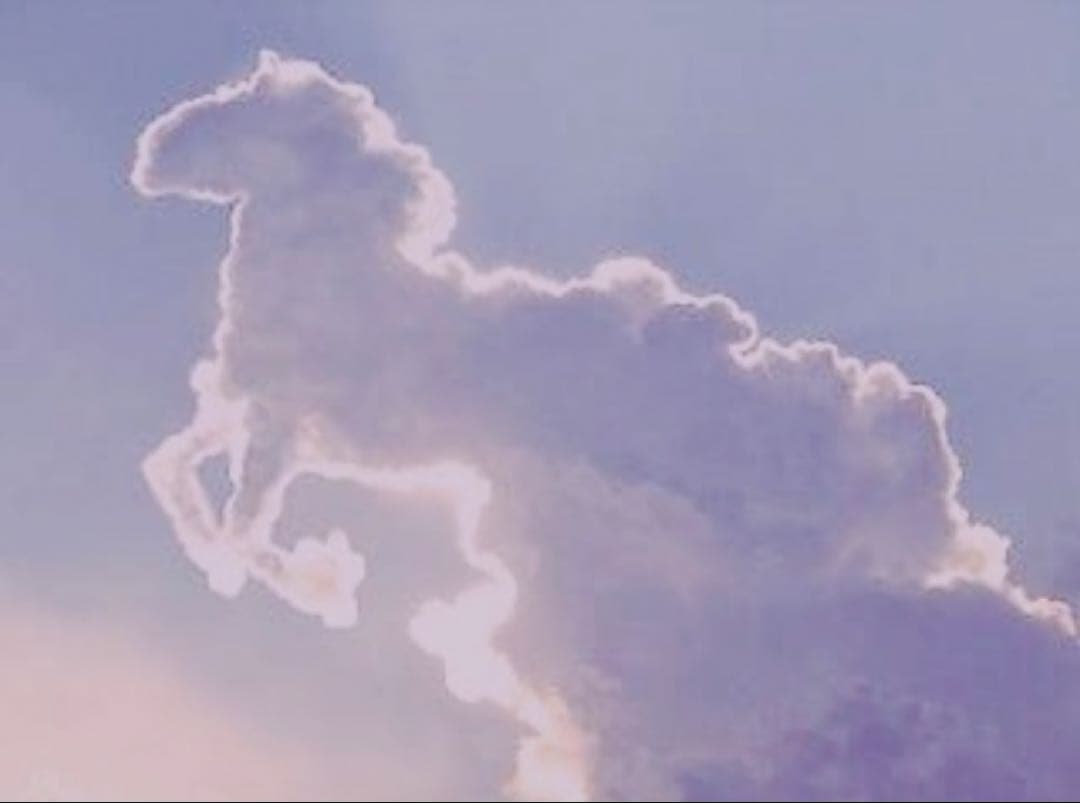 ♡♡♡ Mさませんよう ♡♡♡