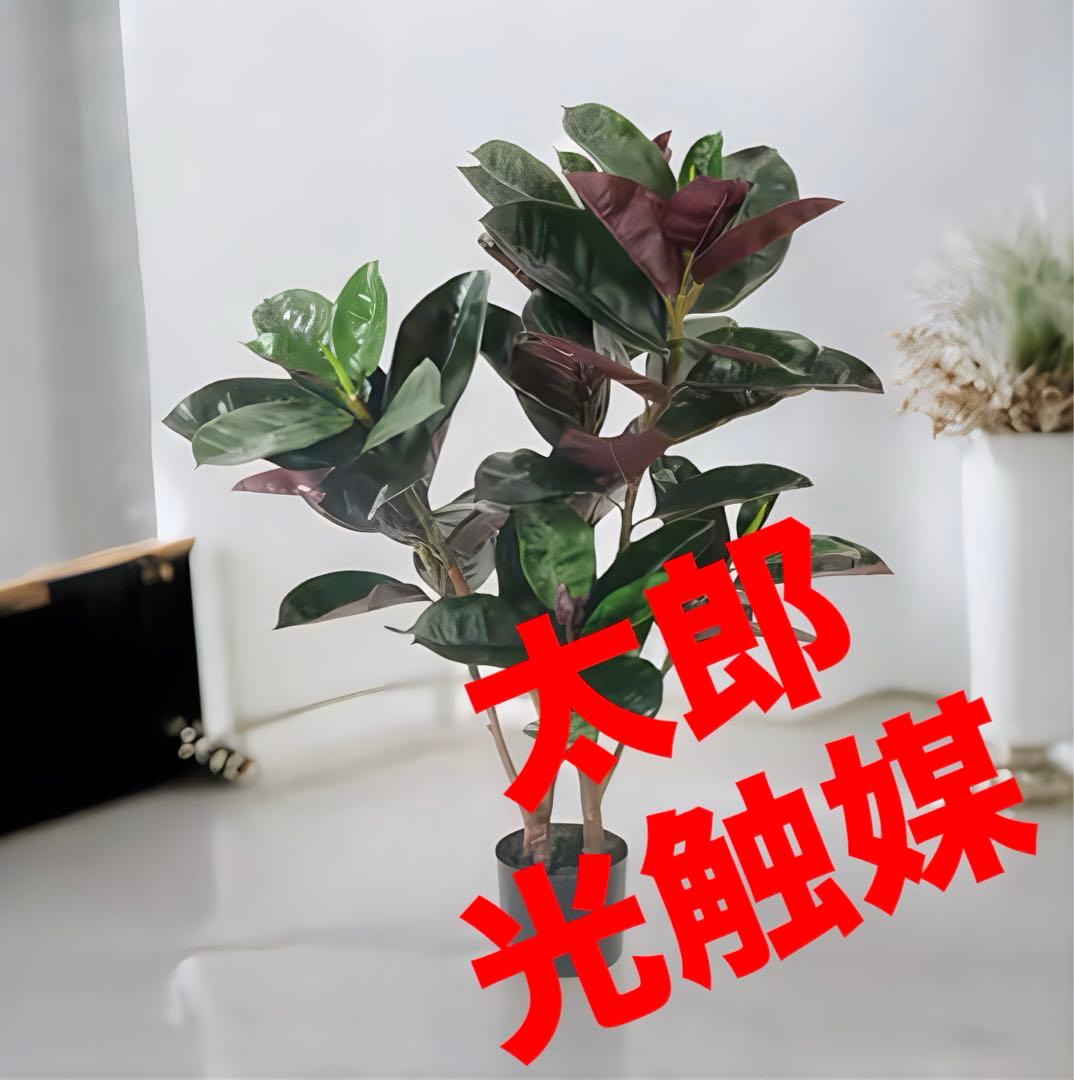 光触媒　人工観葉植物　ウォールグリーン　フェイクグリーン　フラワー　バーガンディ