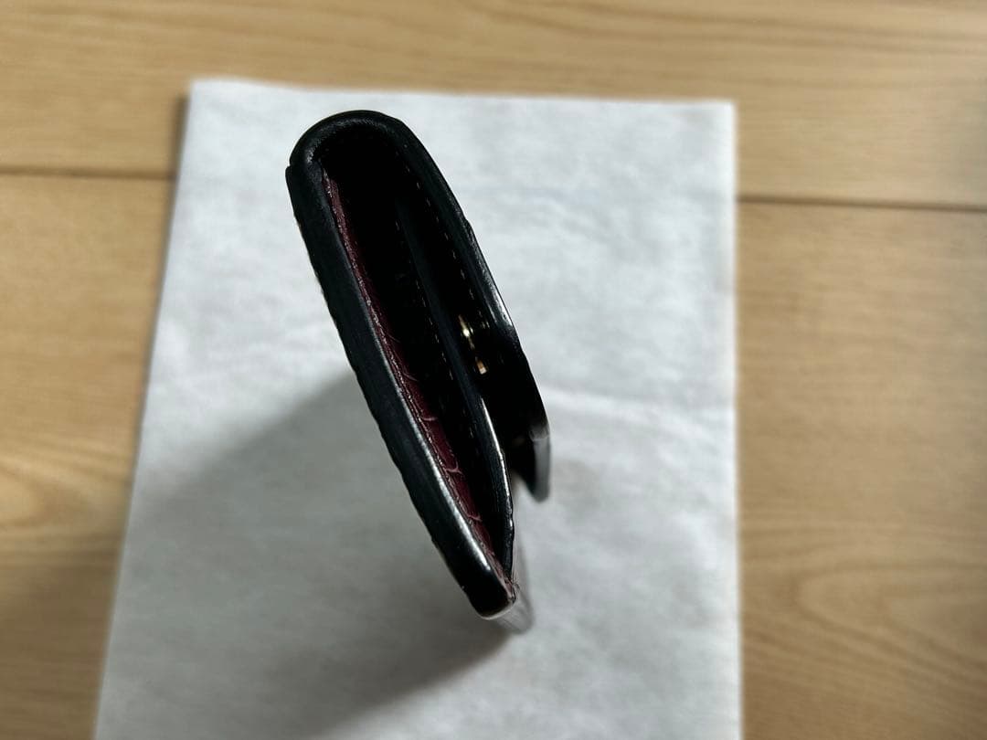 極美品 限定色 ワイルドスワンズ クロコ TONGUE Extreme Ver.