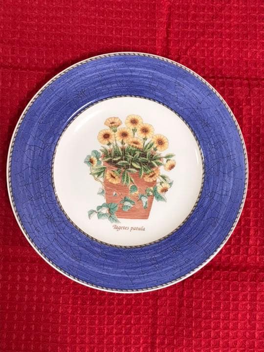 サラズガーデンプレート21cm 27cm 各6枚