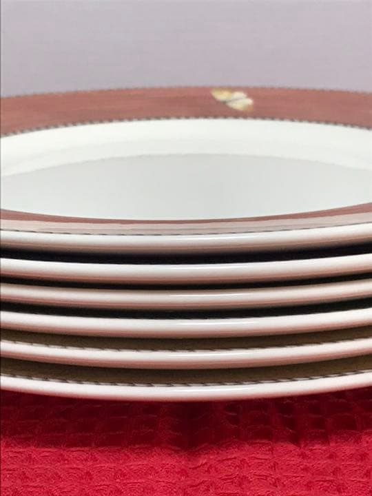 サラズガーデンプレート21cm 27cm 各6枚