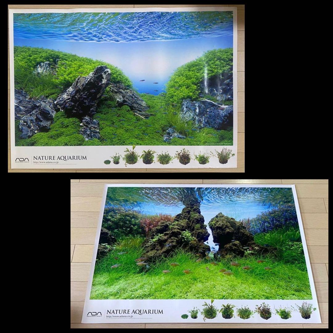 【入手困難】ADA 非売品ポスター2枚セット　龍王石/雲山石