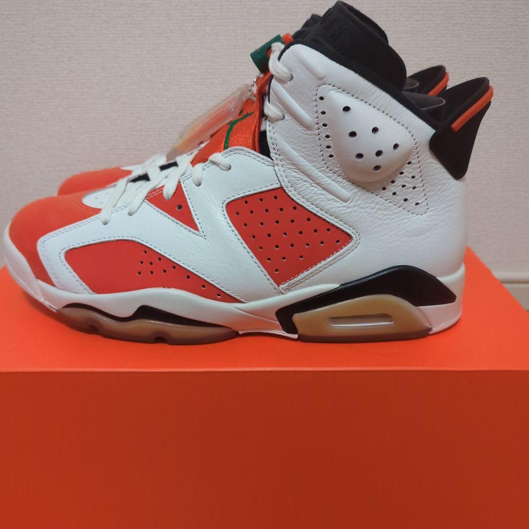 エアジョーダン6 ゲータレード