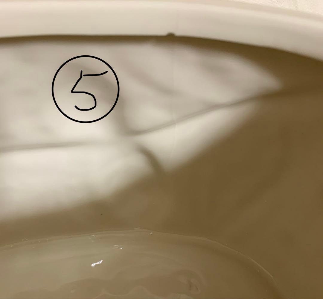 [訳あり]アンソロポロジー  ナタリーレテ　クッキー　Nathalie Lete