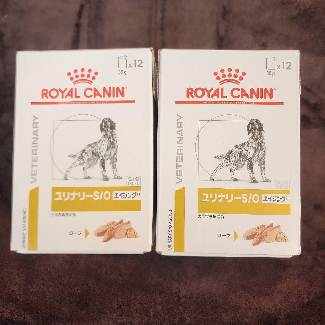 K  CANIN ユリナリーS/Oエイジング7+ 85g42袋