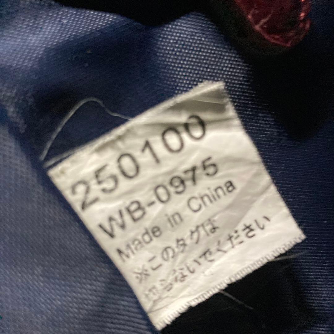 ✳️ SWANY スワニー キャリーバッグ クロコ 型押し 2way レッド