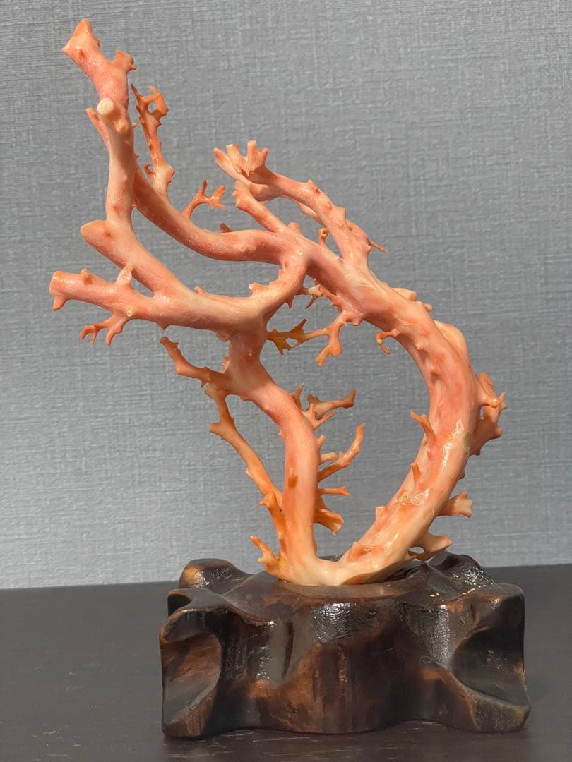 ピンクサンゴの置物 木製台座付き高さ20cm ぐらい　0340001T