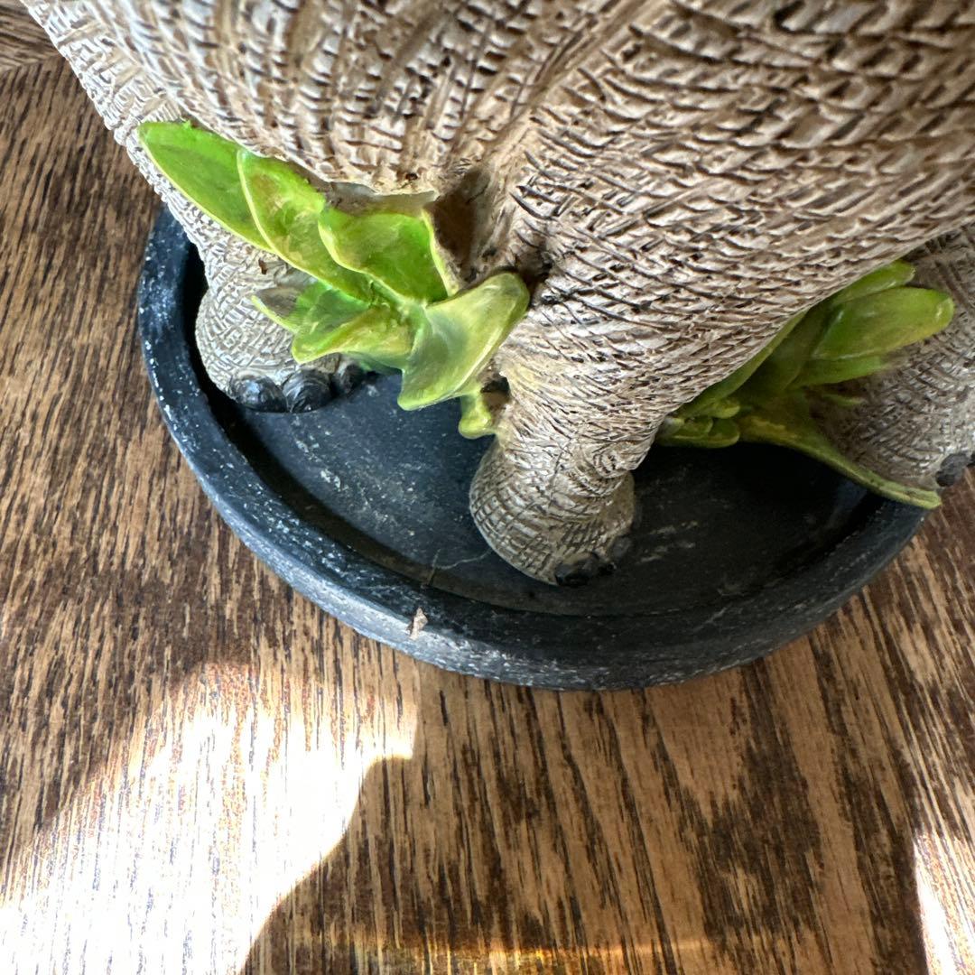 象型観葉植物 鉢植え