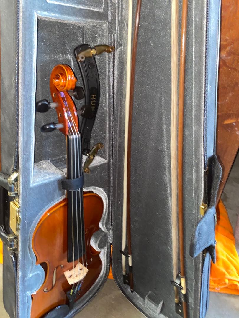 Pygmalius ピグマリウス バイオリン ST-02