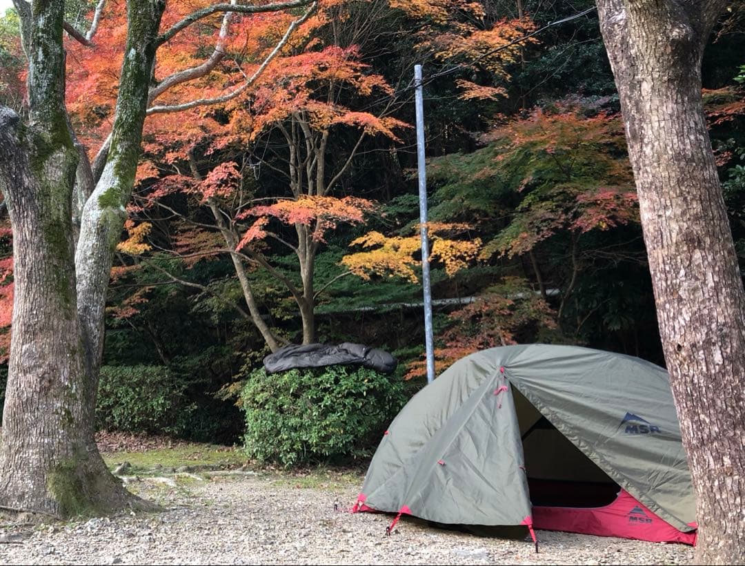 ☆数回使用☆MSR エリクサー4 ペグ未使用