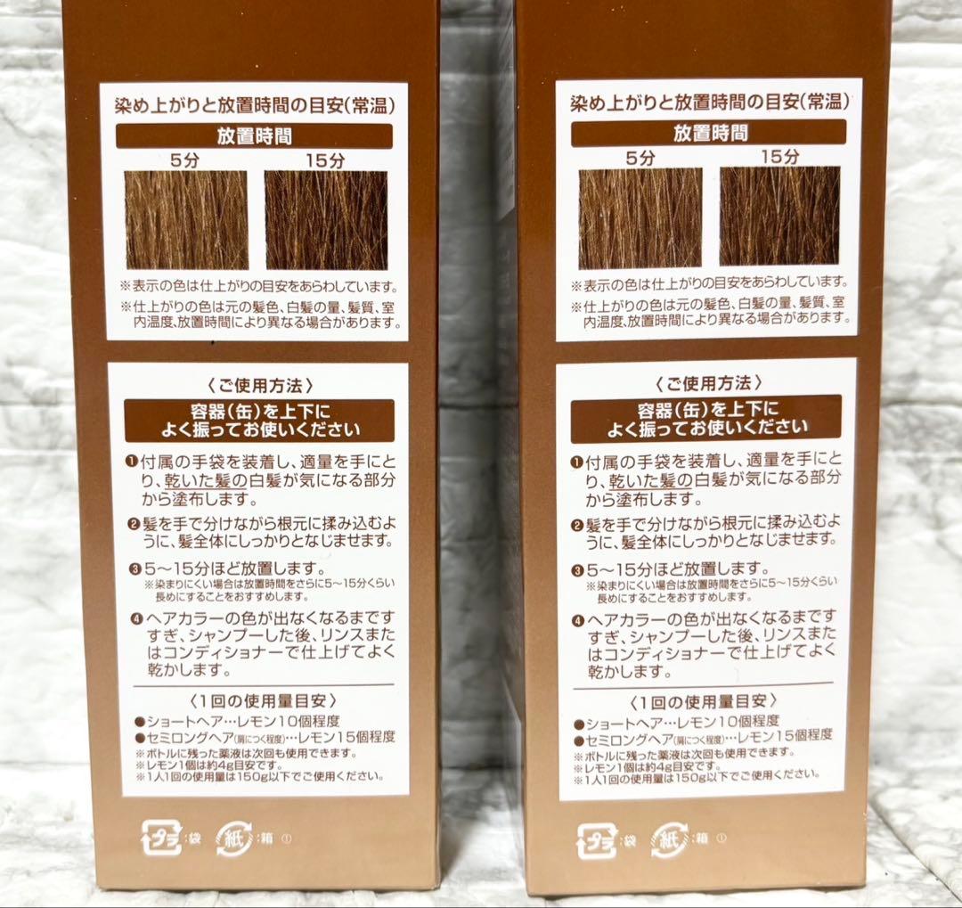 【未開封 2個】ヘアボーテ エクラ エアカラーフォーム ライトブラウン 150g