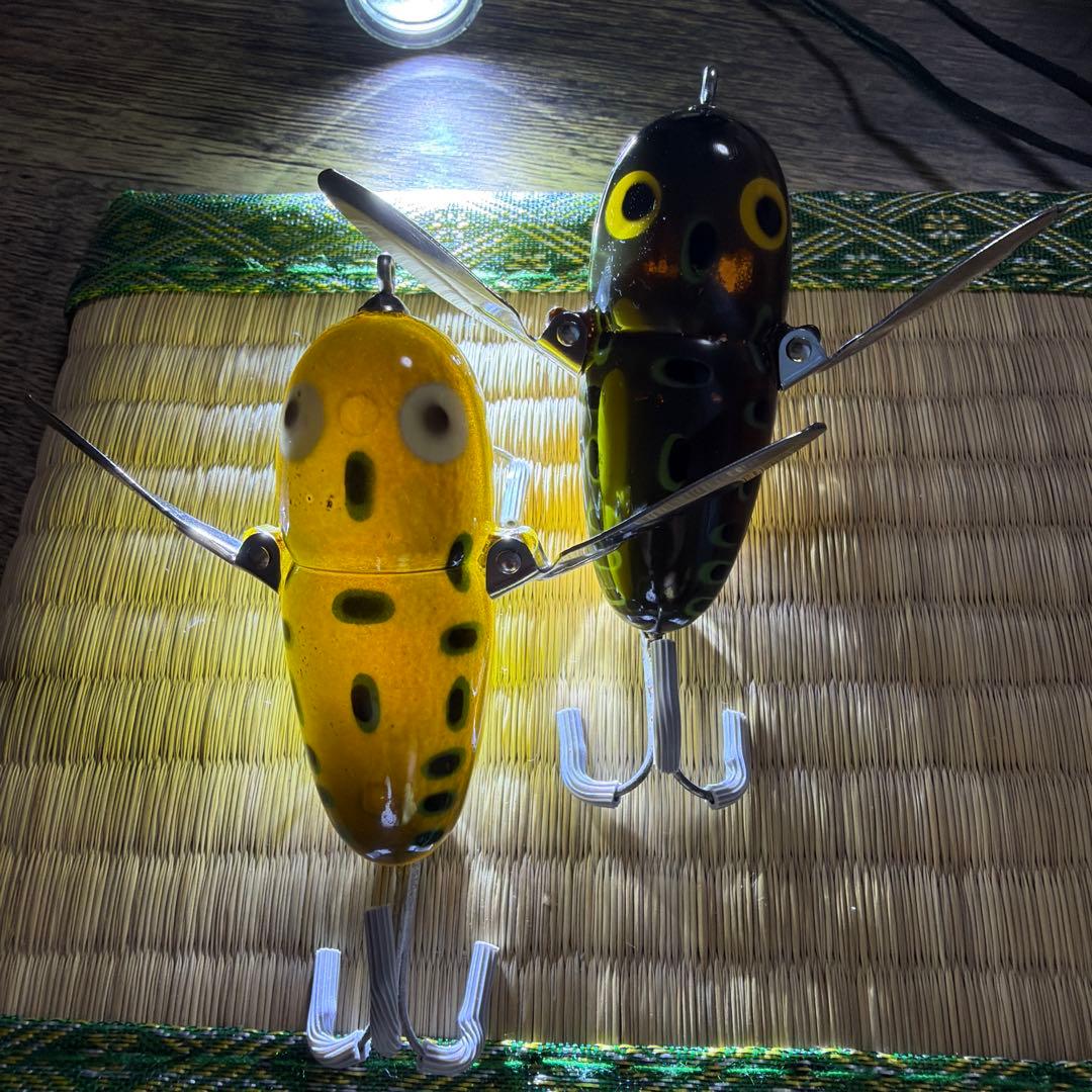 レア個体！スケスケ！ オールド ヘドン クレイジークローラー BFカラー