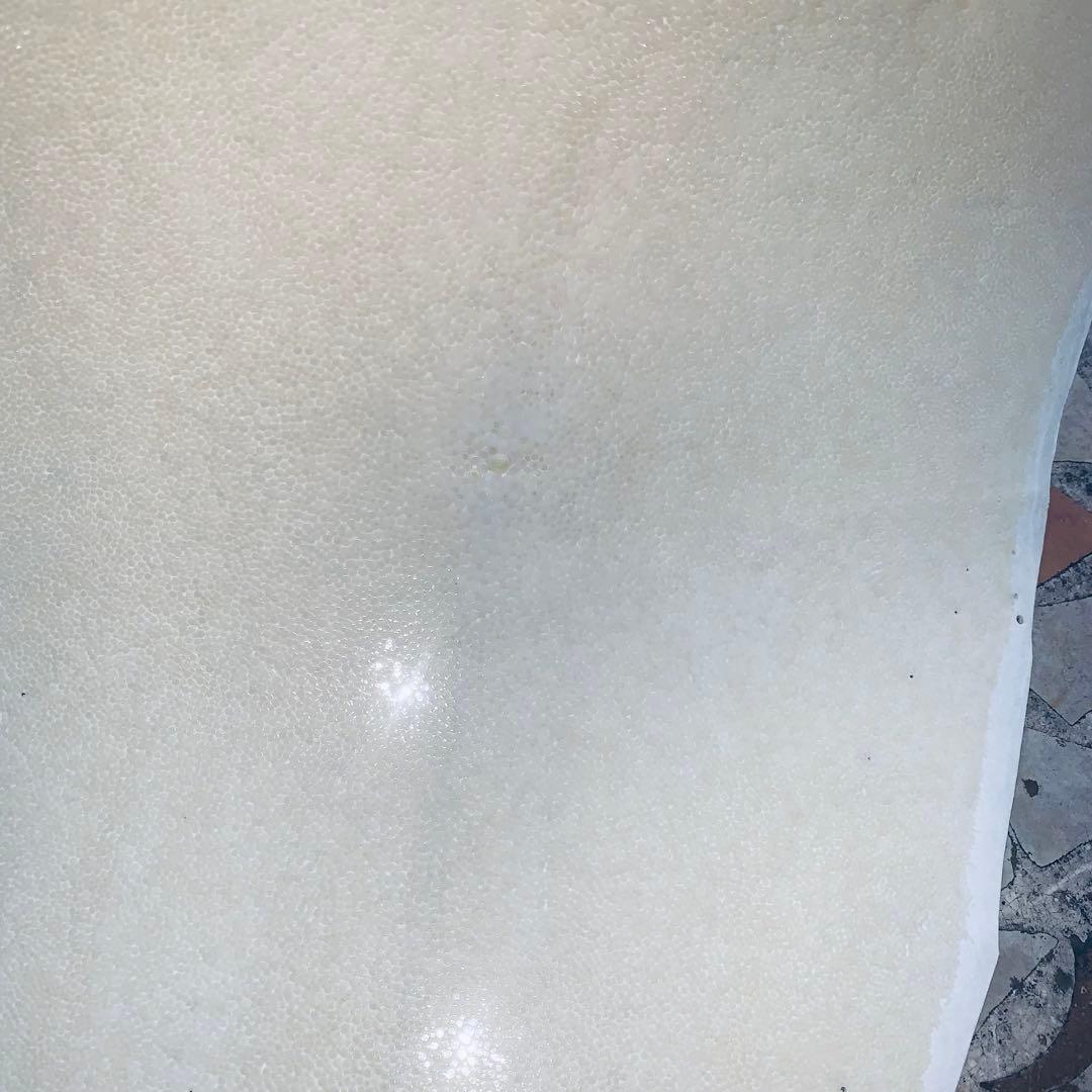 18)エイ革 鮫革 鮫皮 stingray ガルーシャ スティングレイ