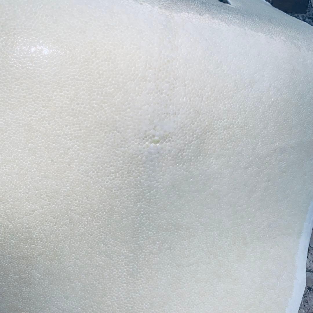 18)エイ革 鮫革 鮫皮 stingray ガルーシャ スティングレイ