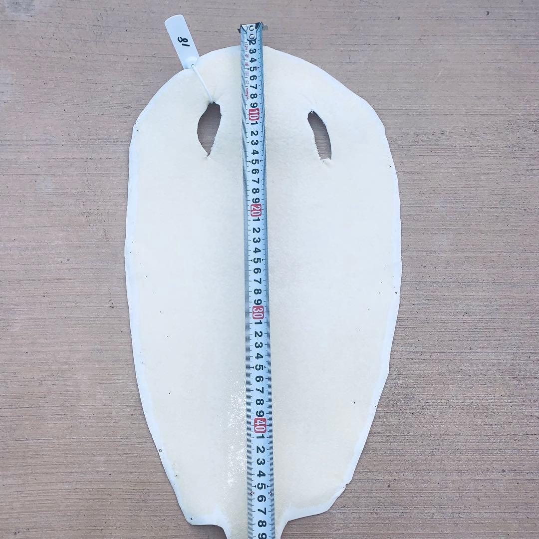 18)エイ革 鮫革 鮫皮 stingray ガルーシャ スティングレイ