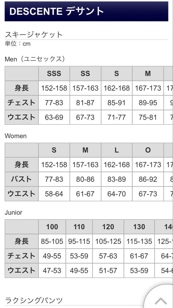 スキーウェア　DESCENTE 上下セット