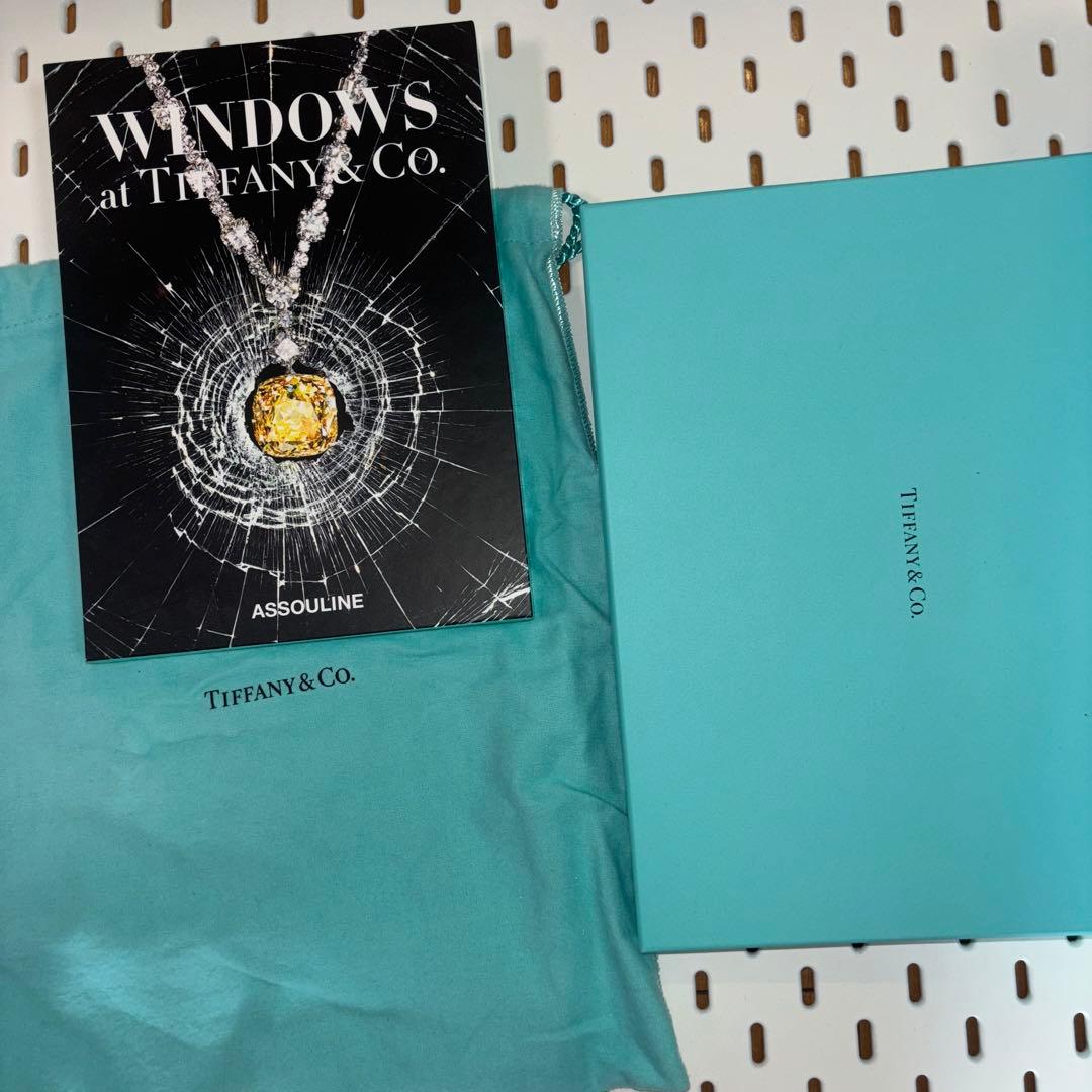 【貴重】ティファニー　アスリーヌWindows