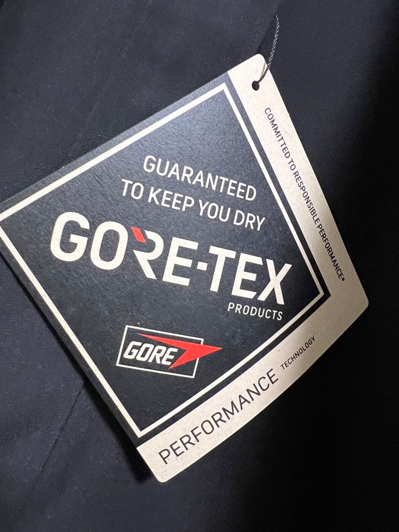 TNFH HYKE GTX Trail Jacket レディースsize:L