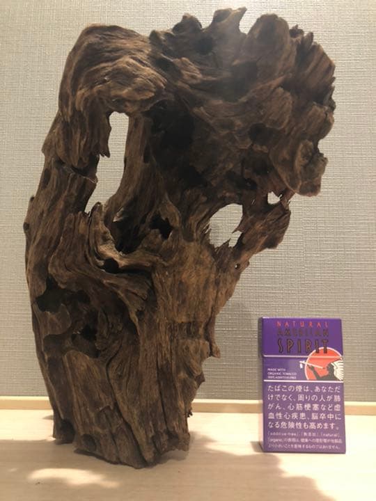 レア流木　美形状　アクアリウム　ADA