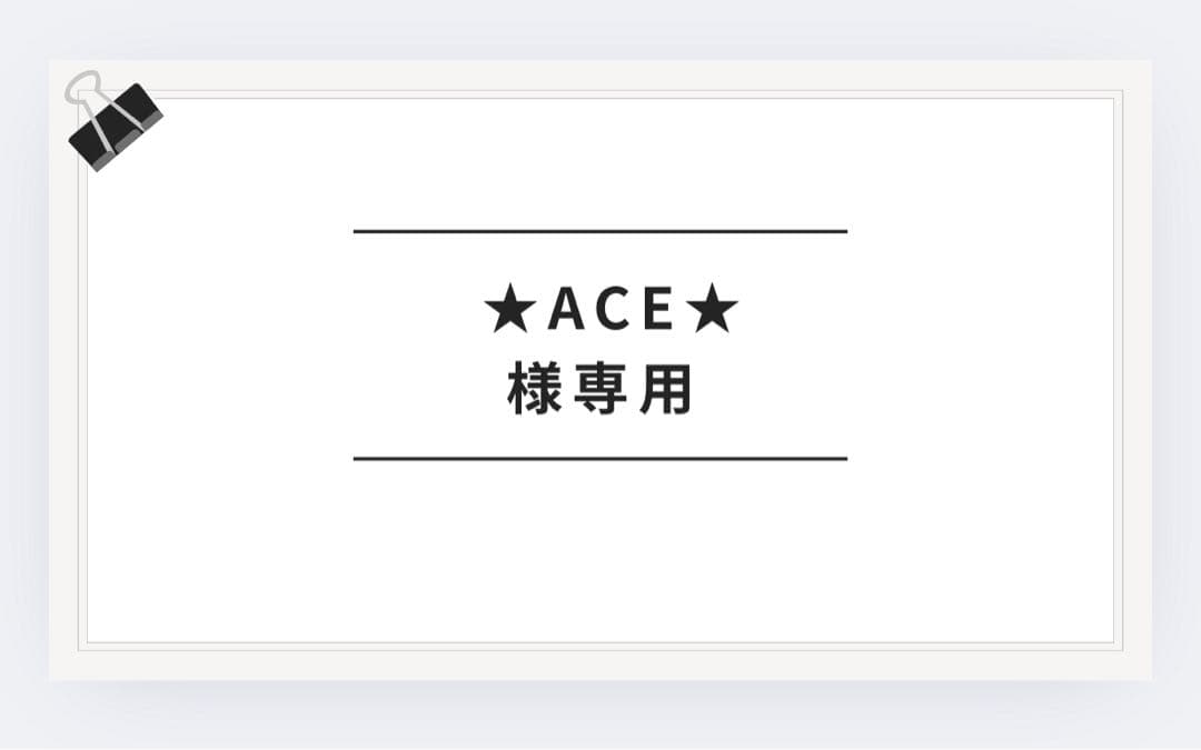 ACEさん専用200ハイエース5%